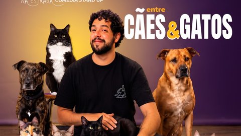 Halloween do Pancho - Stand-up Pai dos Gatos