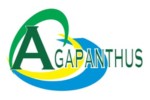 Agapanthus Jardinagem - Indaiatuba